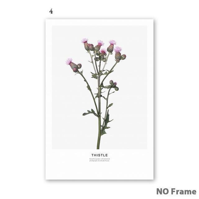 Nordic Flowers - Nordic Side - 