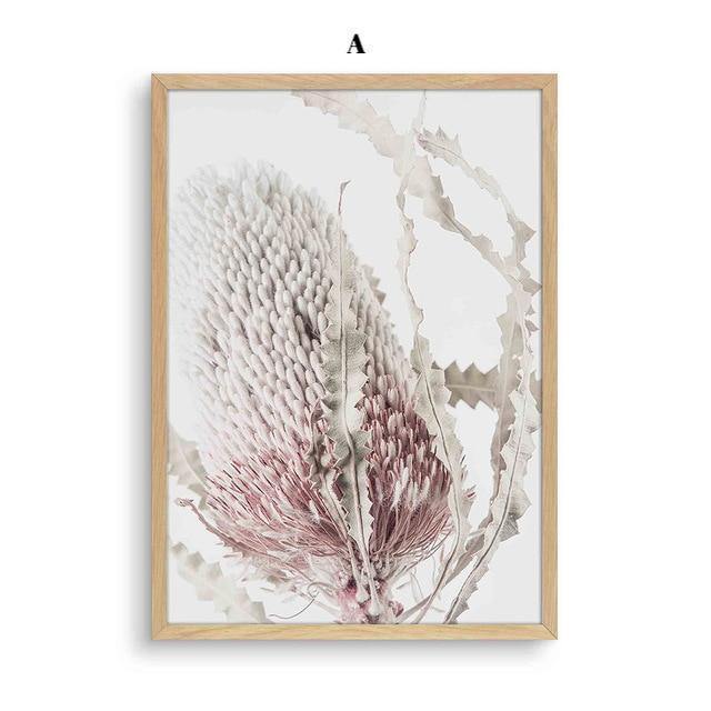 Soft Pink Plant - Nordic Side - 