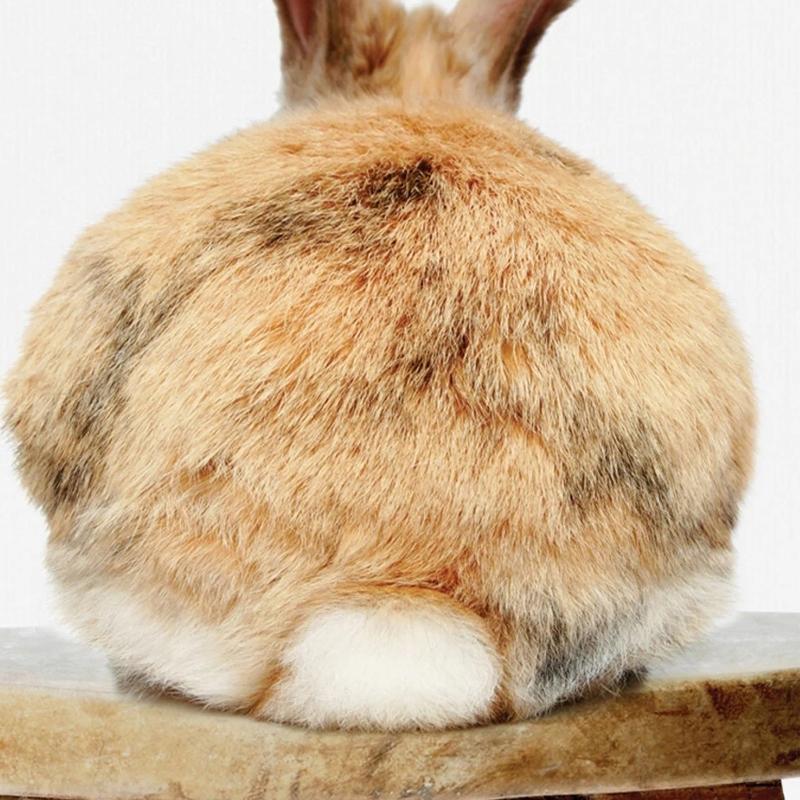 Rabbit On Stool - Nordic Side - 