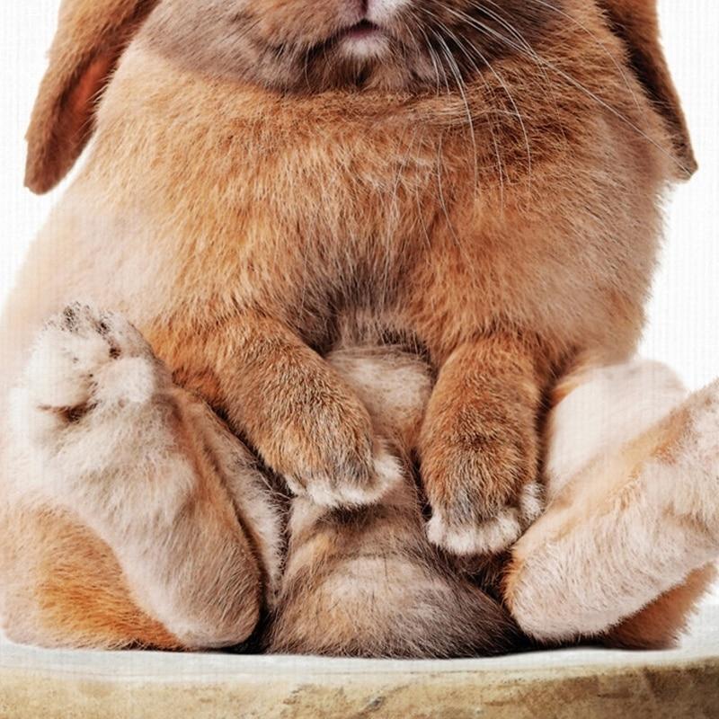 Rabbit On Stool - Nordic Side - 