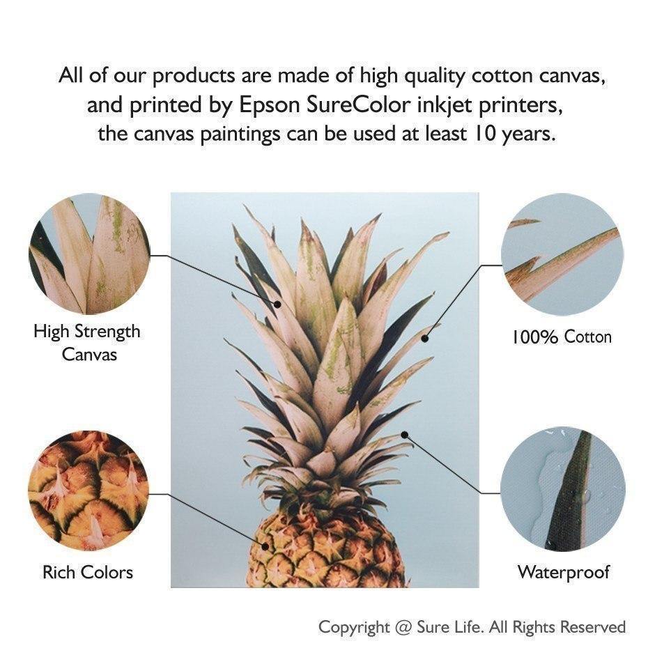 Natural Outdoor Roses - Nordic Side - 