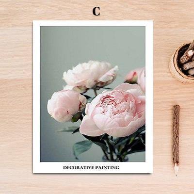 Natural Outdoor Roses - Nordic Side - 