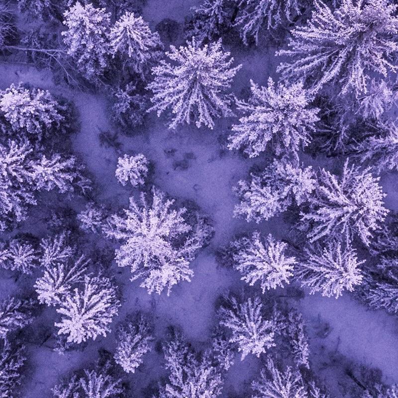 Purple Forest - Nordic Side - 