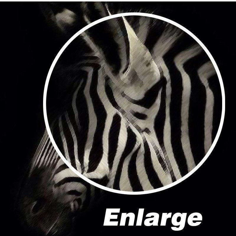 Black Zebra Wall art - Nordic Side - 