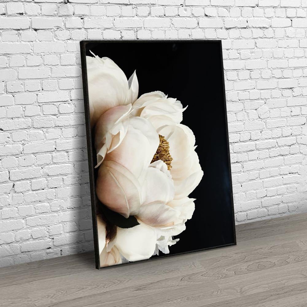 Solel Peony In The Dark - Nordic Side - 