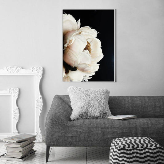 Solel Peony In The Dark - Nordic Side - 