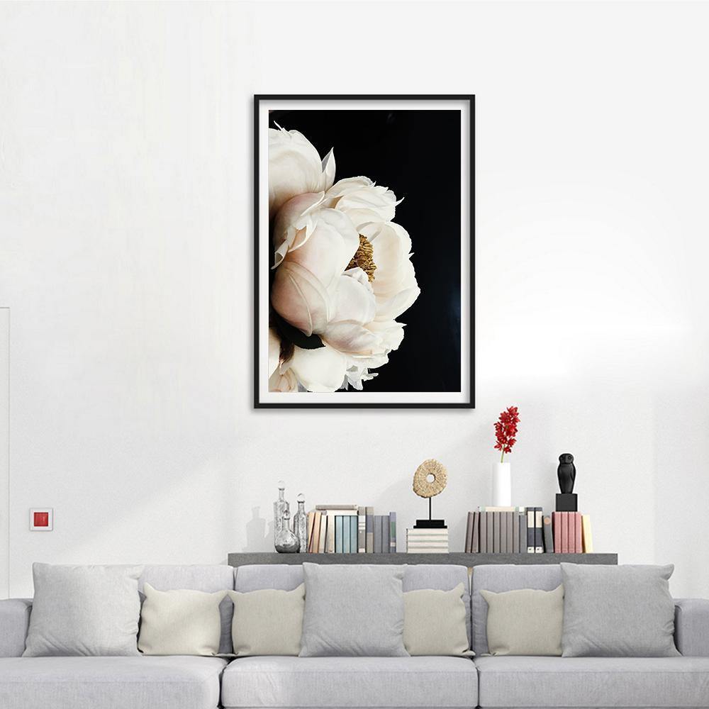 Solel Peony In The Dark - Nordic Side - 