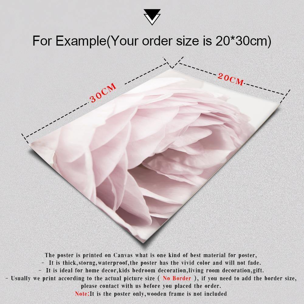 Modern Pop Peony - Nordic Side - 