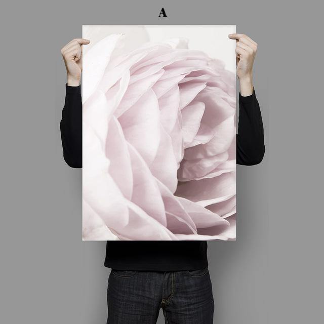 Modern Pop Peony - Nordic Side - 