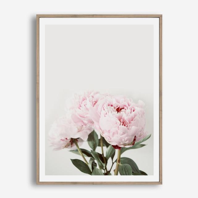 Cream Roses - Nordic Side - 