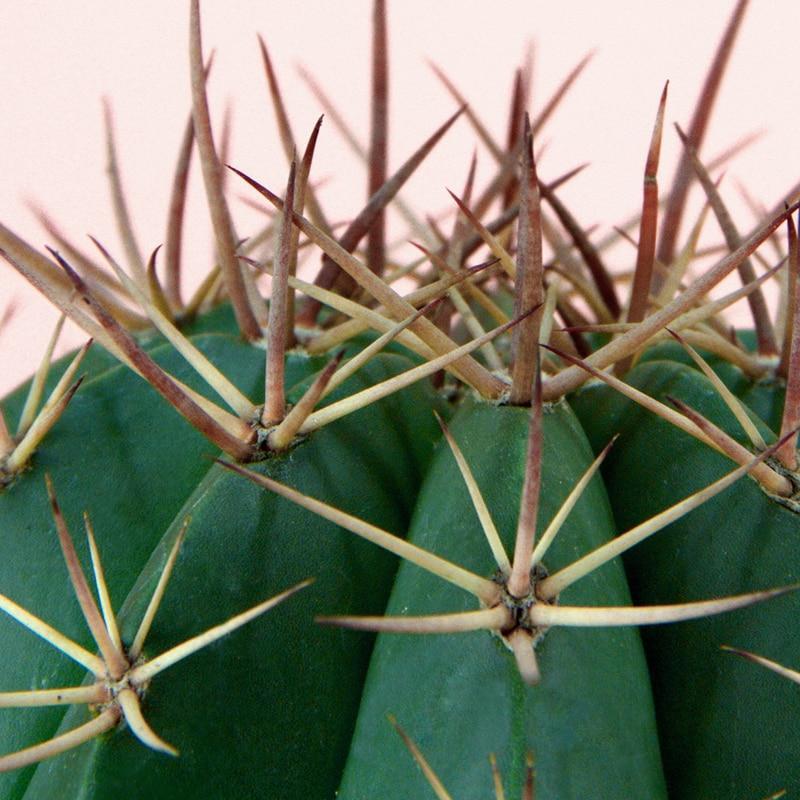 Nordic Scene - Nordic Side - 