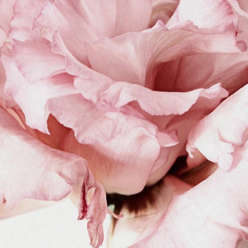 Nordic Scene Posters - Nordic Side - 