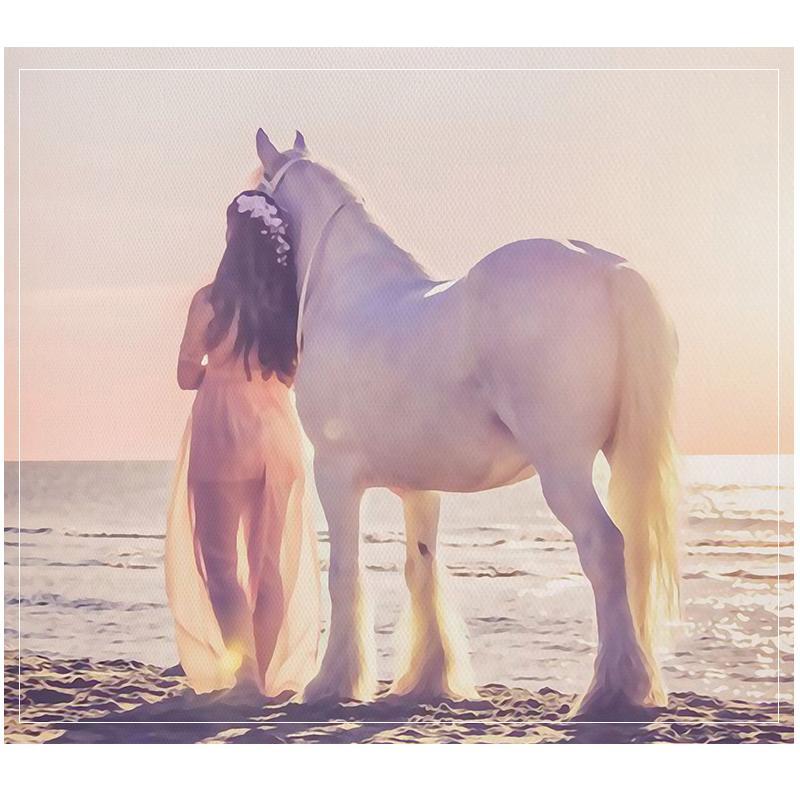 Picture with Horse - Nordic Side - 