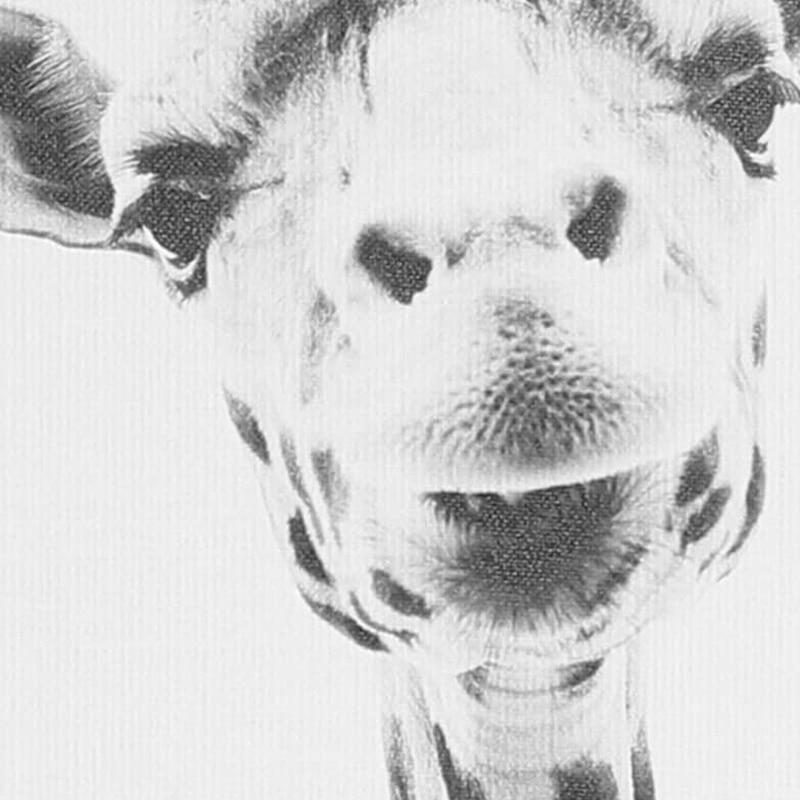 Baby Zebra & Giraffe - Nordic Side - 