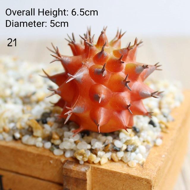 Red Artificial Succulent - Nordic Side - 