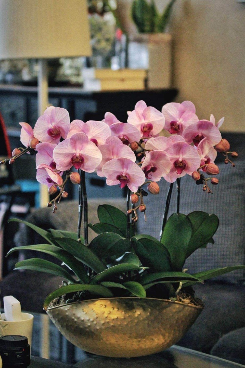 Golden Basket Vase - Nordic Side - 