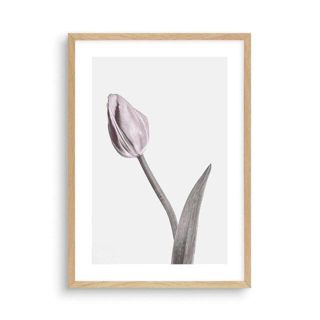 Pale Pink Tulips - Nordic Side - 