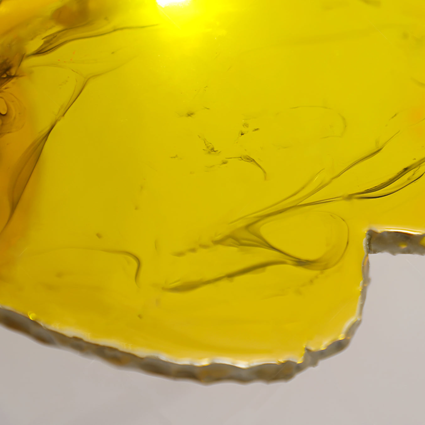 Sabrina Butterfly Pendant Lamp